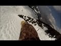 Flying eagle point of view (more footage)