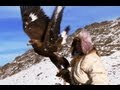 Hunting Golden eagle Vs Fox - Human Planet - BBC