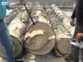 Smuggling cigarettes in logs