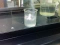 Reactivity of Group 1 Metals Lithium Sodium Potassium With Water - Chemistry Science Demo