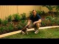 Better Homes and Gardens - Gardening: garden edging