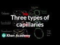 Three Types of Capillaries