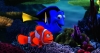 Finding Nemo (2012) photo