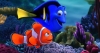 Finding Nemo (2012) photo