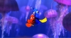 Finding Nemo (2012) photo