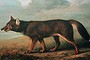 Dingo: <em>George Stubbs.</em>