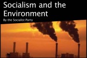 Socialism and the Environment