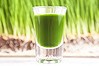 Wheat Grass Juice