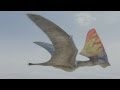 PTEROSAUR filmed in flight, Yantai City, Shandong Province, China.