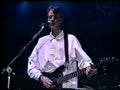 Peter Hammill & Band - Live at Music Hall 1992 (Frankfult)