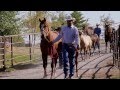 Montana Horse Ranch - America's Heartland