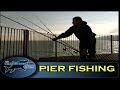 Pier fishing tips for Beginners (Part 1) - The Totally Awesome Fishing Show