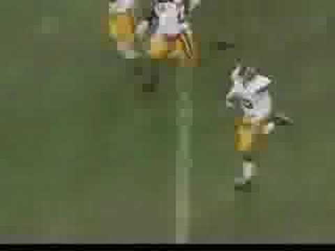 reggie bush college highlights