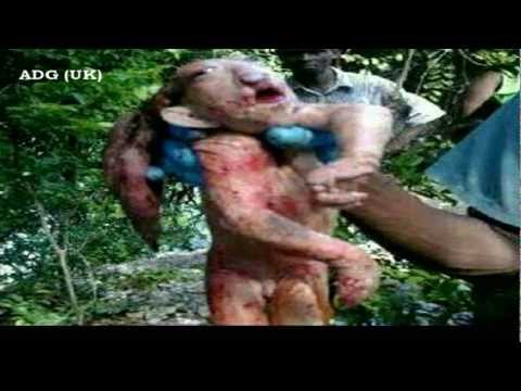 Weird Muppet Creature Captured In Africa 2012 HD