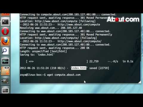 How to Use the Wget Command on Linux