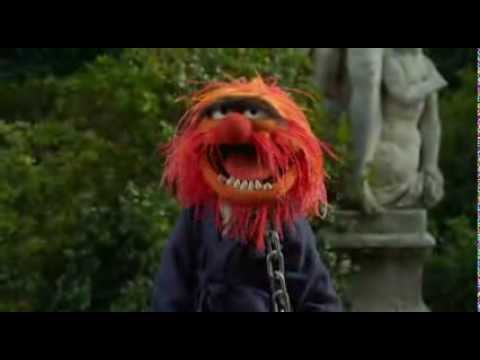 Animal Rejoins The Muppets at Anger Managment: 