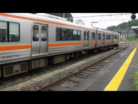 飯田線　鳥居駅・そよ風トレイン117/大海駅・313系ロングラン鈍行