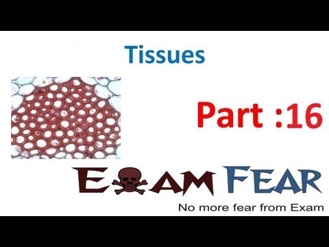 Biology Tissues part 16 (Nervous tissue: Neuron) CBSE class 9 IX