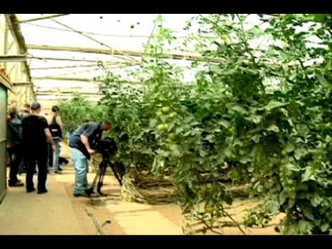 Israel Cultivates Desert Agriculture