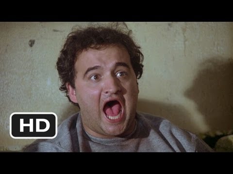 Toga! Toga! - Animal House (6/10) Movie CLIP (1978) HD