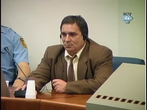 Vasiljević, Mitar - Trial Chamber Judgement- 28 November 2002