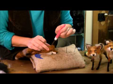 How to Needle Felt Animals - Fox Series 7: Ears by Sarafina Fiber Art