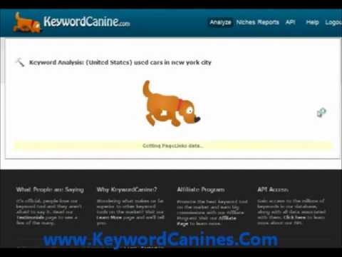 Keyword Canine