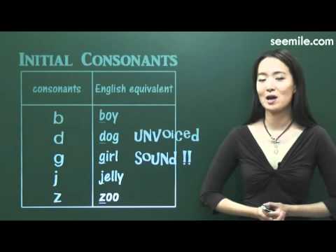 2. Pinyin (Initial Consonants : b,p,m,p,d,t,n,l,g,k,h,j,q,x,z,y,w)