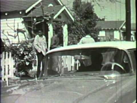 The Savages (Venice's Oakwood Area in the 1960's)