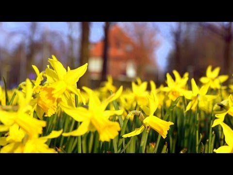 Cities in Minutes - Breda, Netherlands / Time-lapse | NHTV