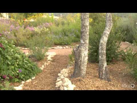 Butterfly garden design | Bulverde/Spring Branch Library | Central Texas Gardener