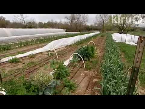 Angel Valley Organic Farm: Central Texas Gardener