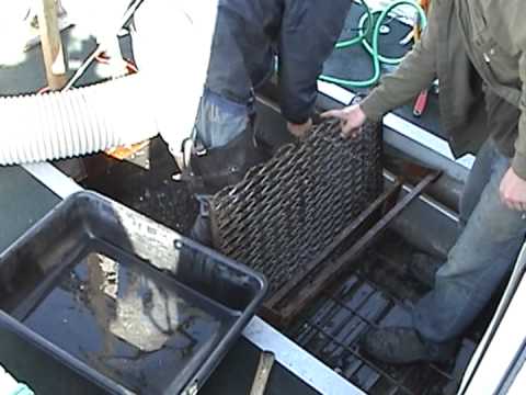 Gold Dredging in the Bering Sea, Gold Diving