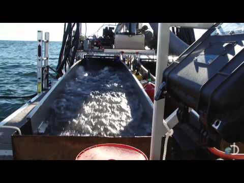 Corn Flake Gold | Bering Sea Gold