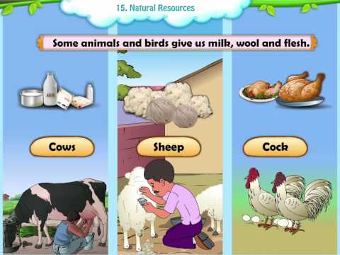 Learn Grade 2 - EVS - Natural Resources