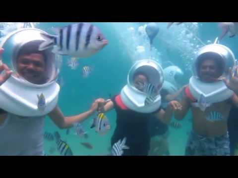 Things to do in Bali Seawalker - Coral plantation, Fish feeding - Bali.