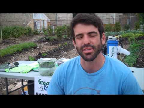 An interview with Eric Roth of Greens & Gills at The Plant, July 27, 2013.