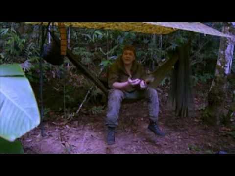 *RAY MEARS* SOLOMON (PART1/2)