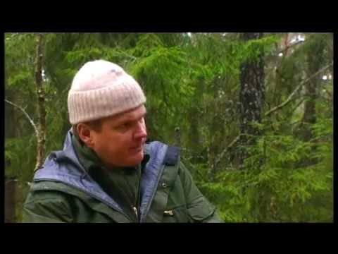 Ray Mears' Bushcraft S02E04 - Sweden