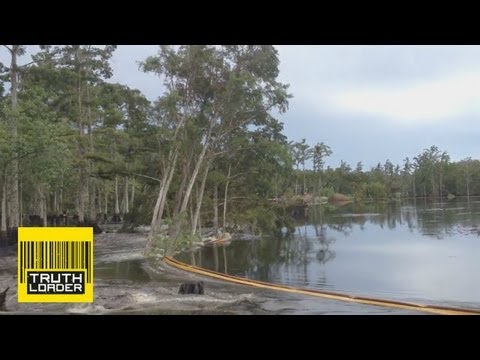 Giant sinkhole swallows trees in Assumption Parish, Louisiana- Truthloader