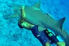 Shark rider at Bora Bora