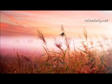 Background Music Instrumentals - relaxdaily - B-Sides N°1