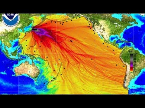 Radioactive Water From Fukushima Is Poisoning The Entire Pacific Ocean