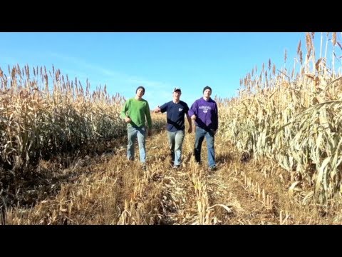 Farmer Style (Gangnam Style Parody)