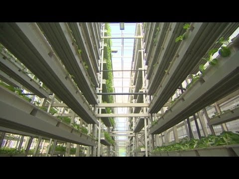 Vertical farms solve land problem