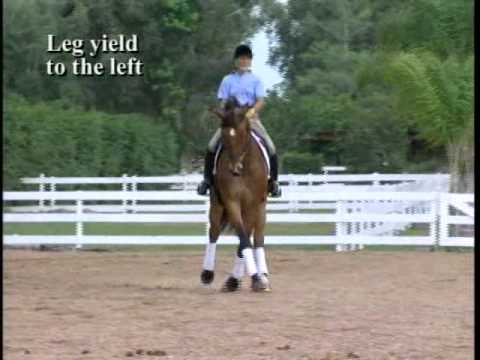 Dressage Trainer Jane Savoie's Explains Leg Yielding