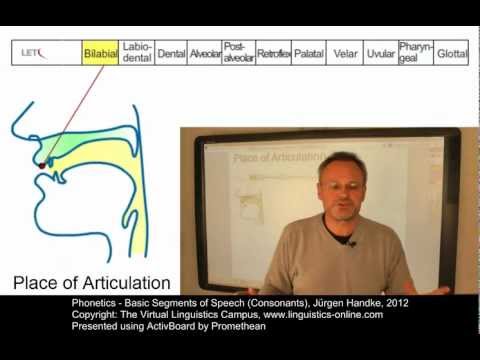 Phonetics - Basic Segments of Speech (Consonants)