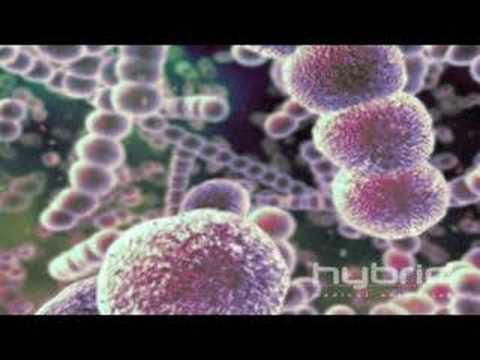 Streptococcus Pneumoniae (Hybrid Medical Animation)