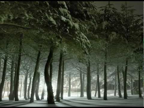 The Cure - A Forest