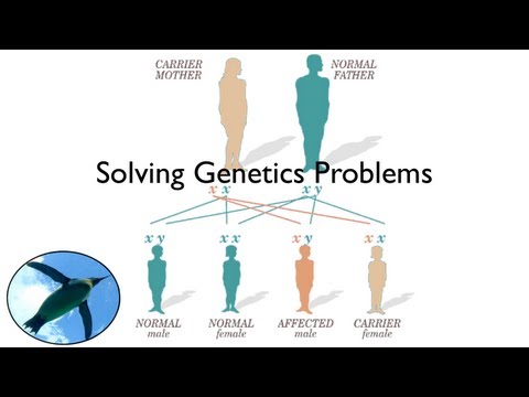 Solving Genetics Problems